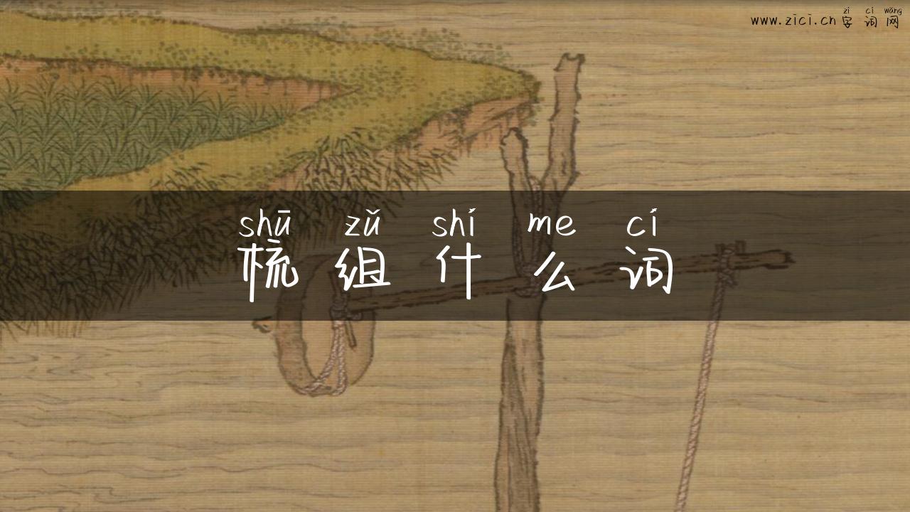 梳组什么词