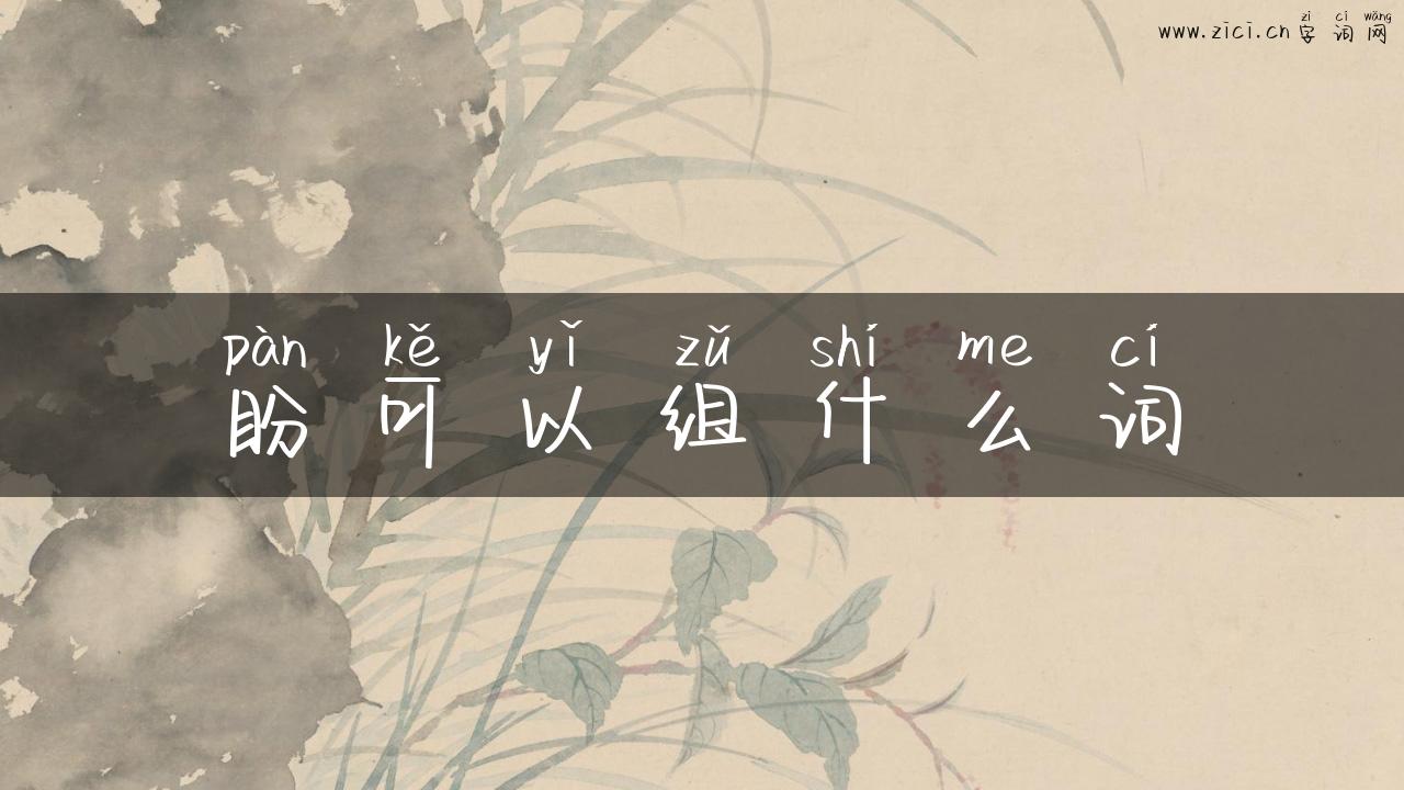 盼可以组什么词