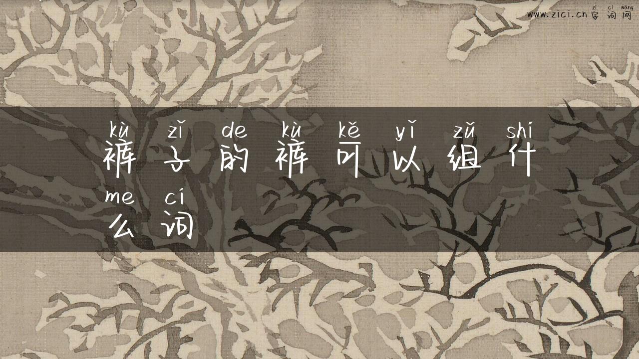 裤子的裤可以组什么词