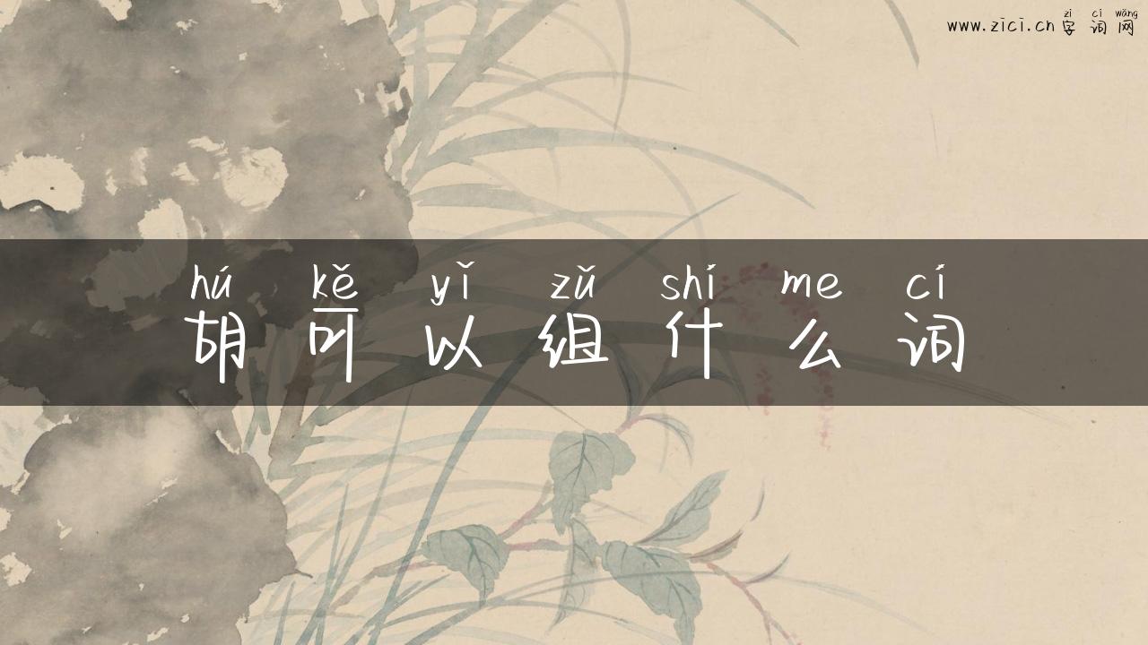 胡可以组什么词