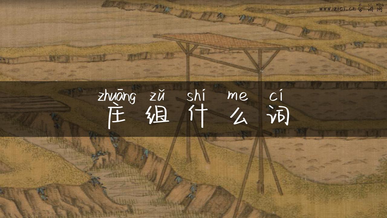 庄组什么词