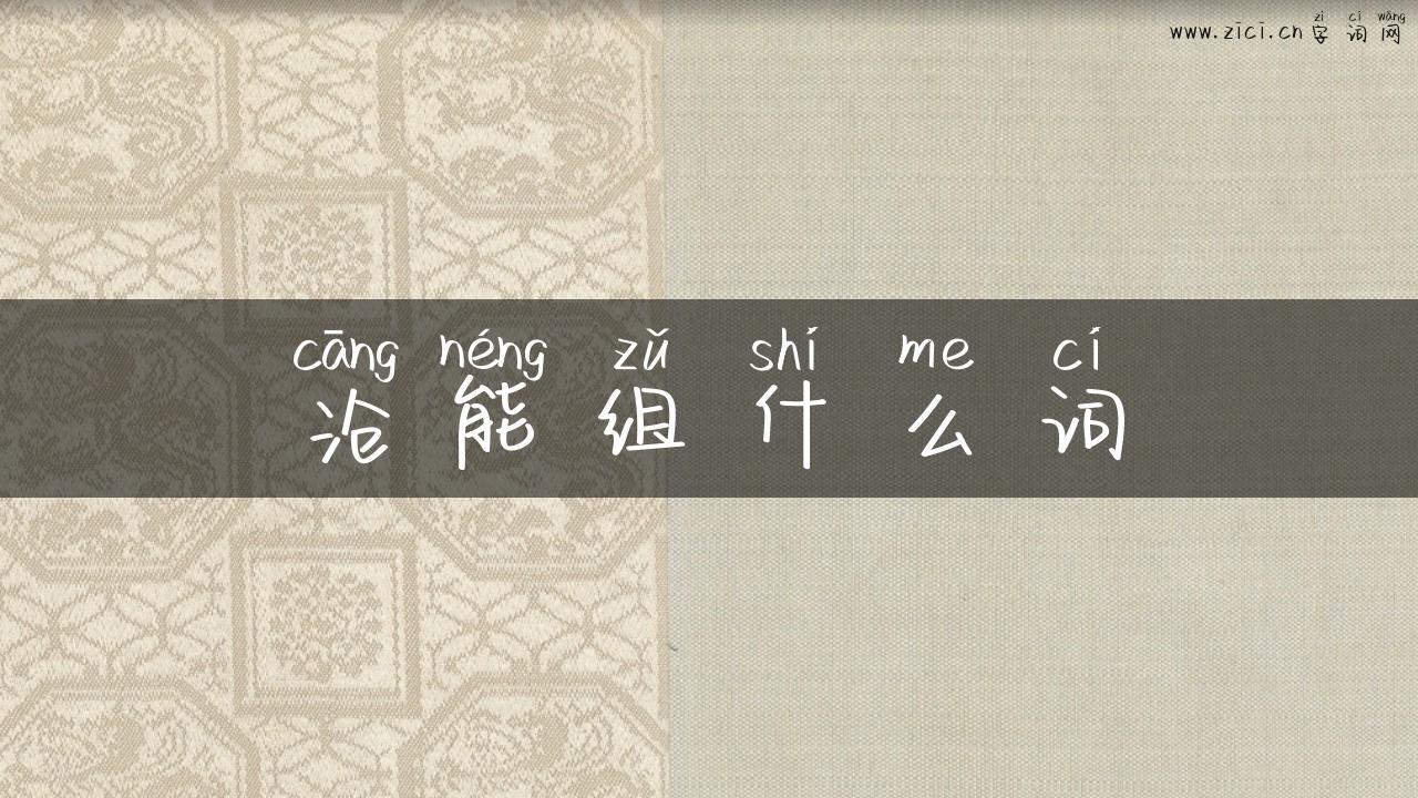 沧能组什么词