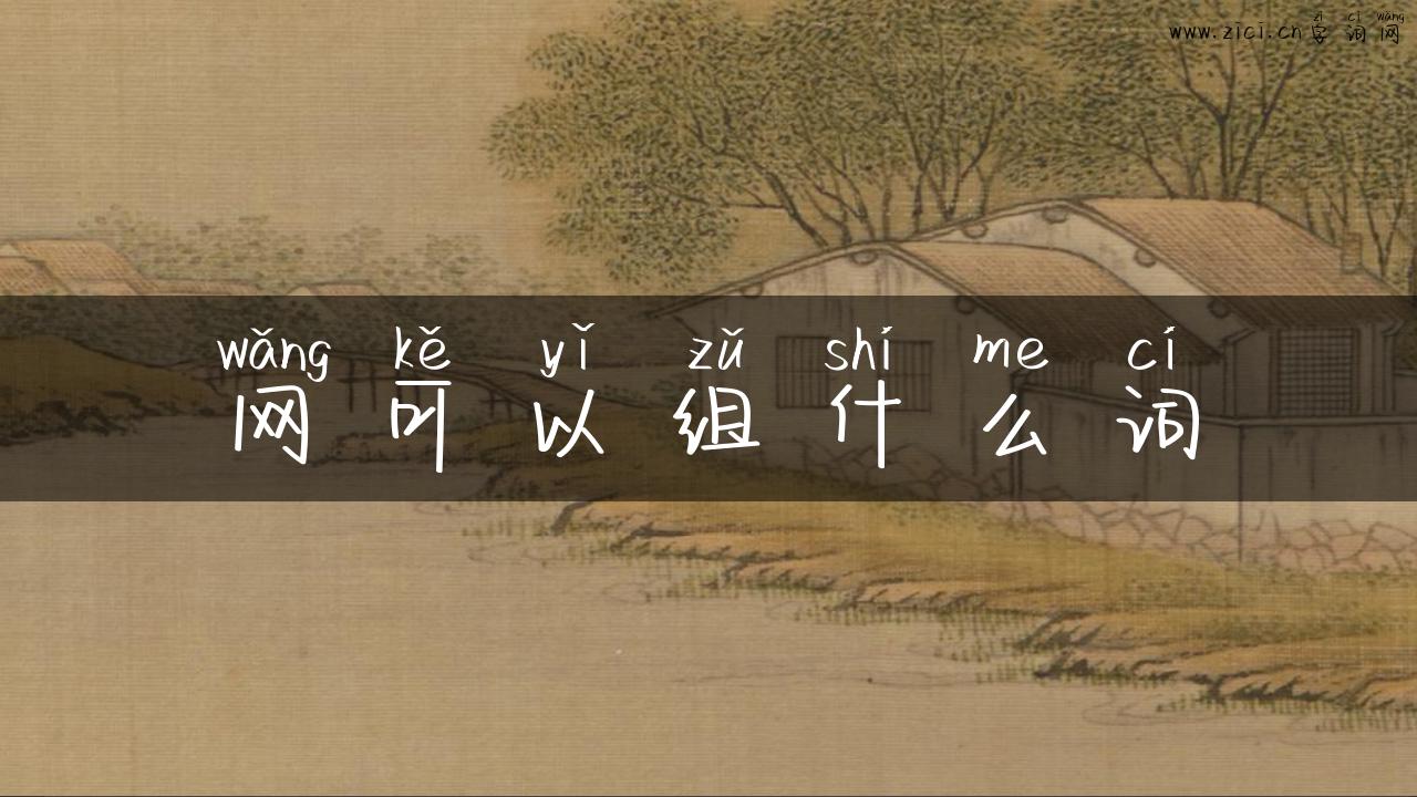 网可以组什么词