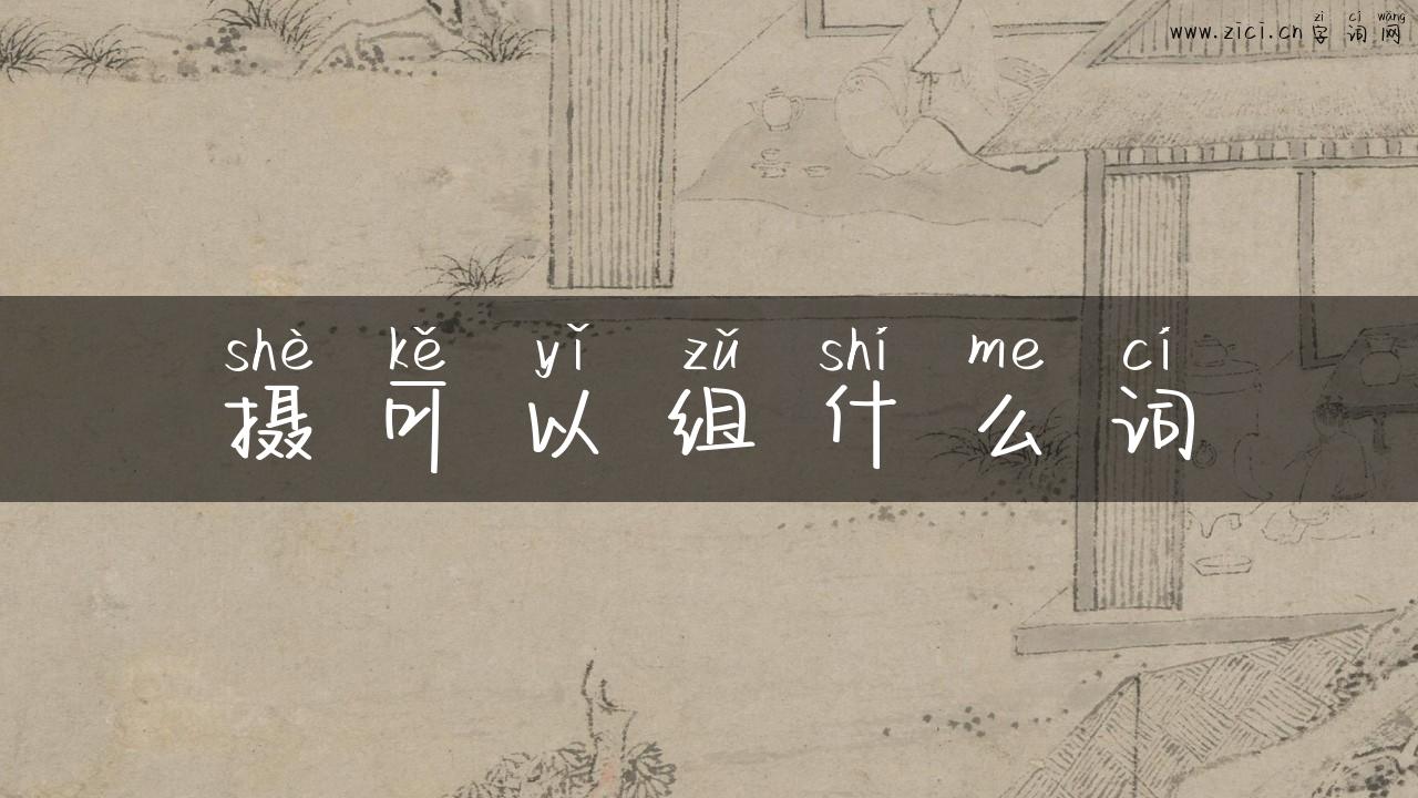 摄可以组什么词