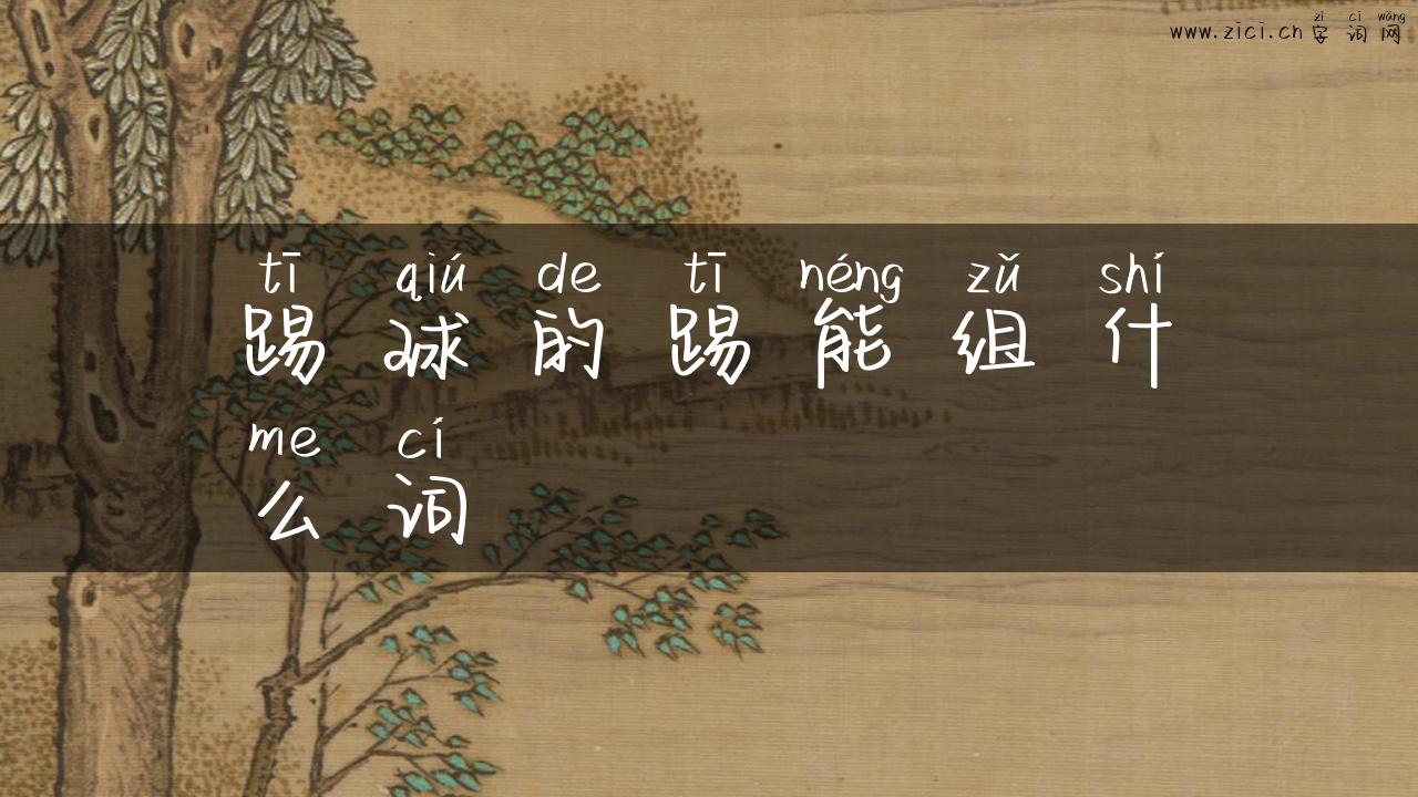 踢球的踢能组什么词