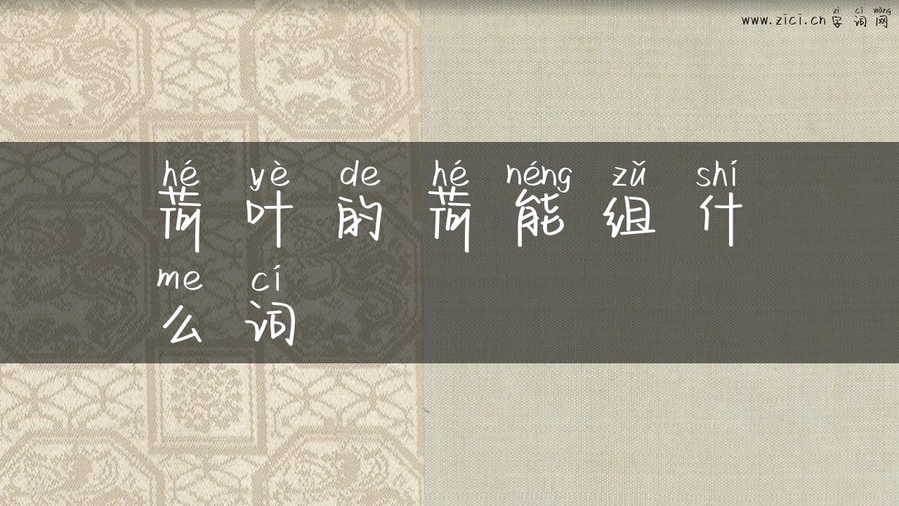 荷叶的荷能组什么词