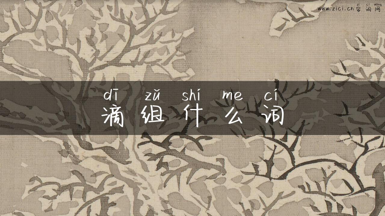 滴组什么词