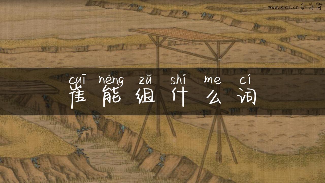 崔能组什么词