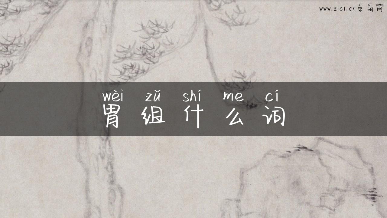 胃组什么词