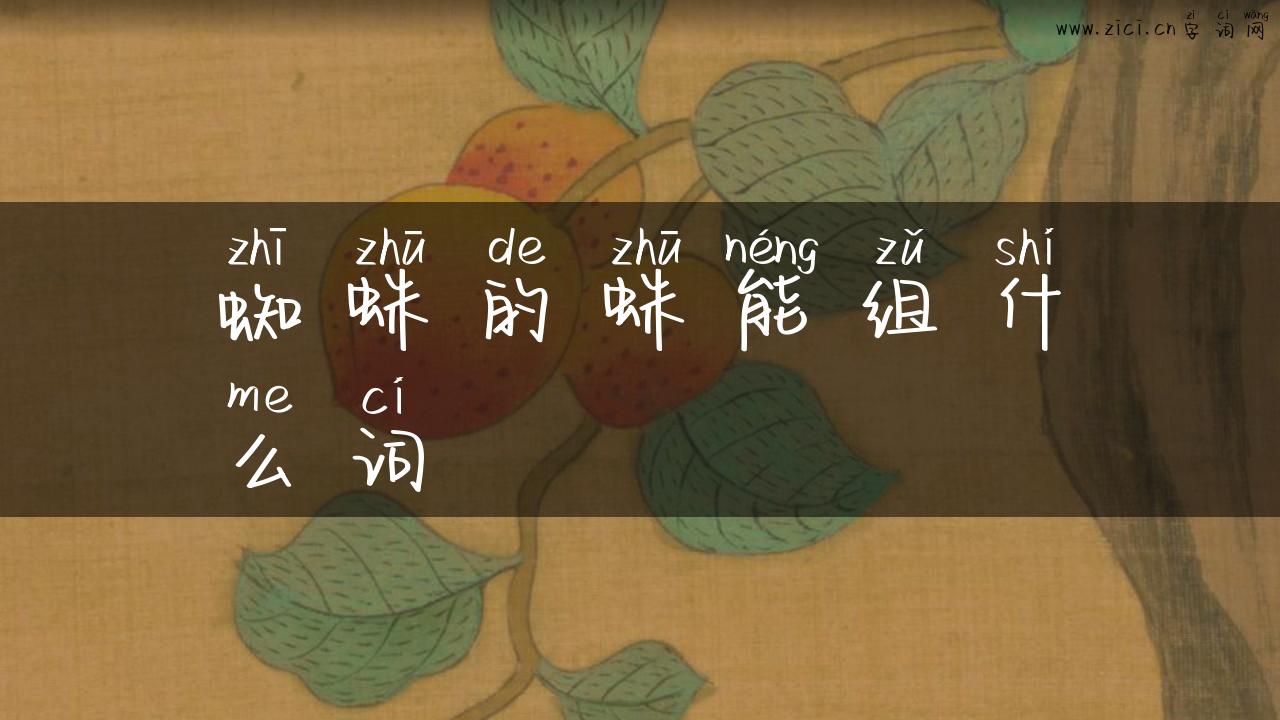 蜘蛛的蛛能组什么词