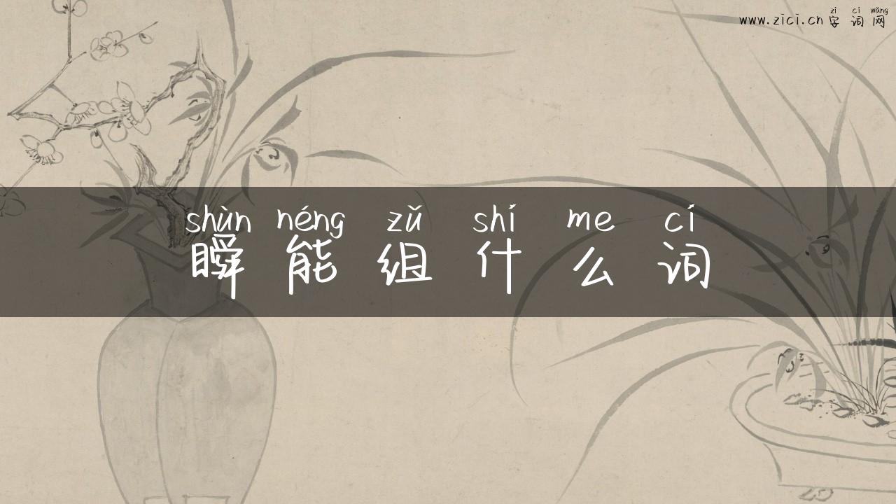 瞬能组什么词
