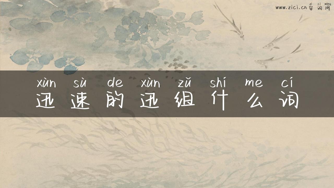 迅速的迅组什么词