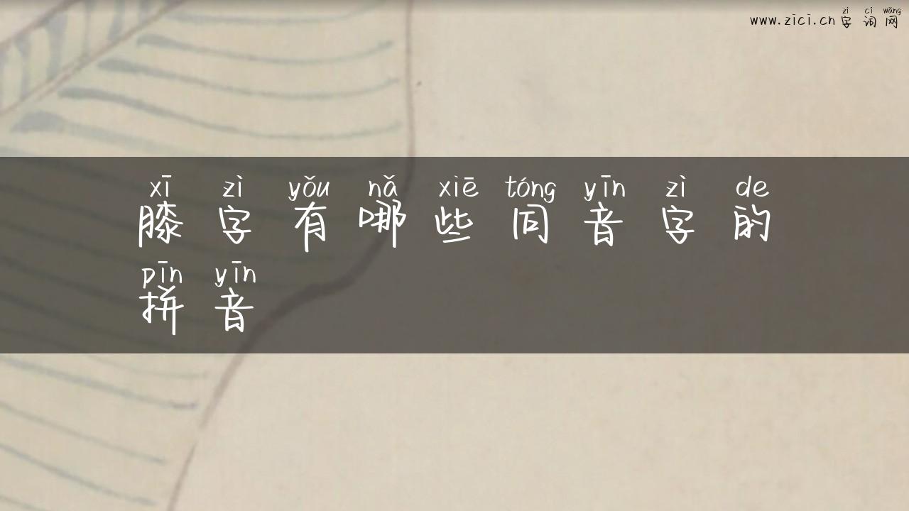 膝字有哪些同音字的拼音