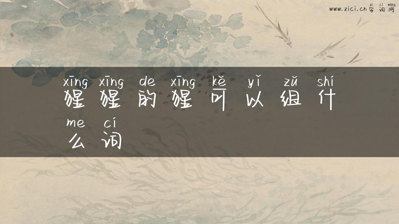 猩猩的猩可以组什么词