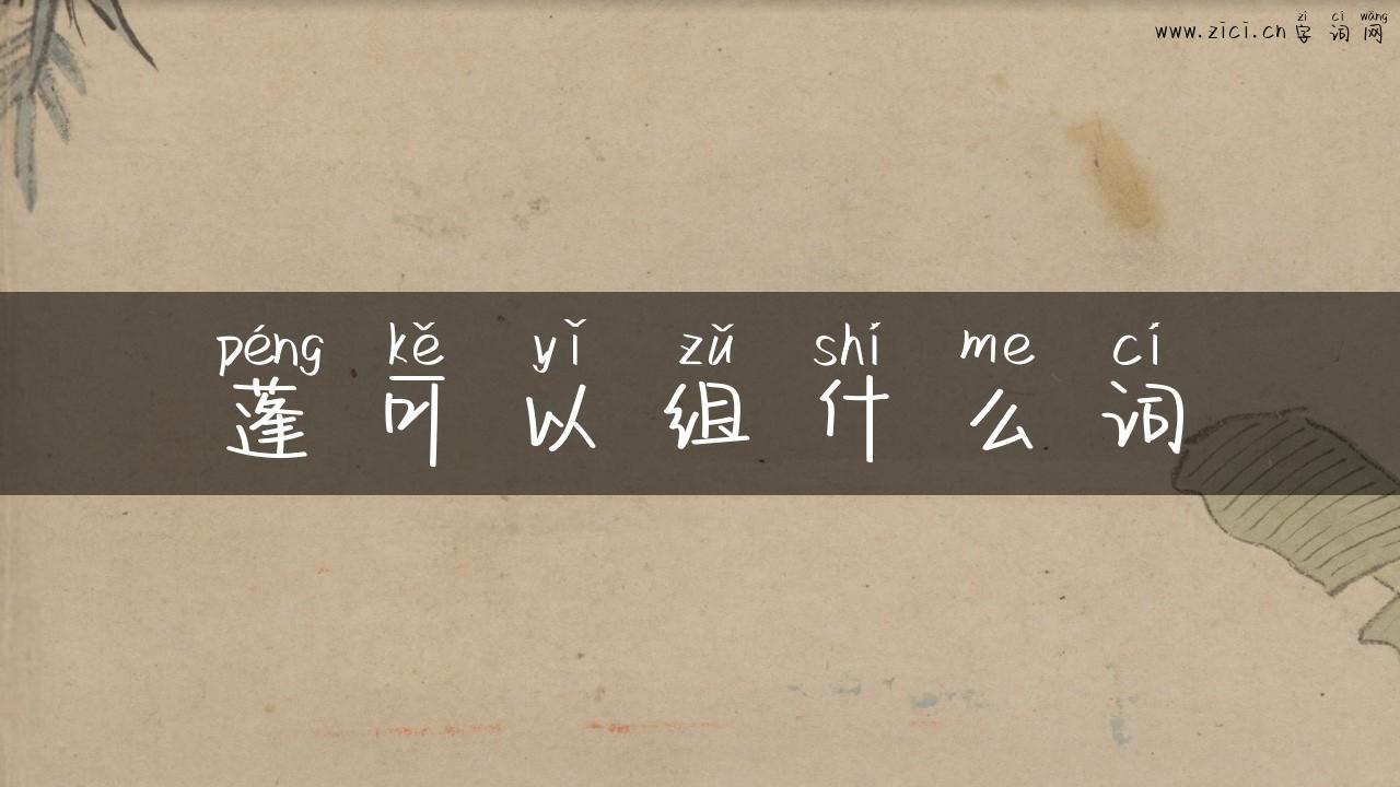 蓬可以组什么词