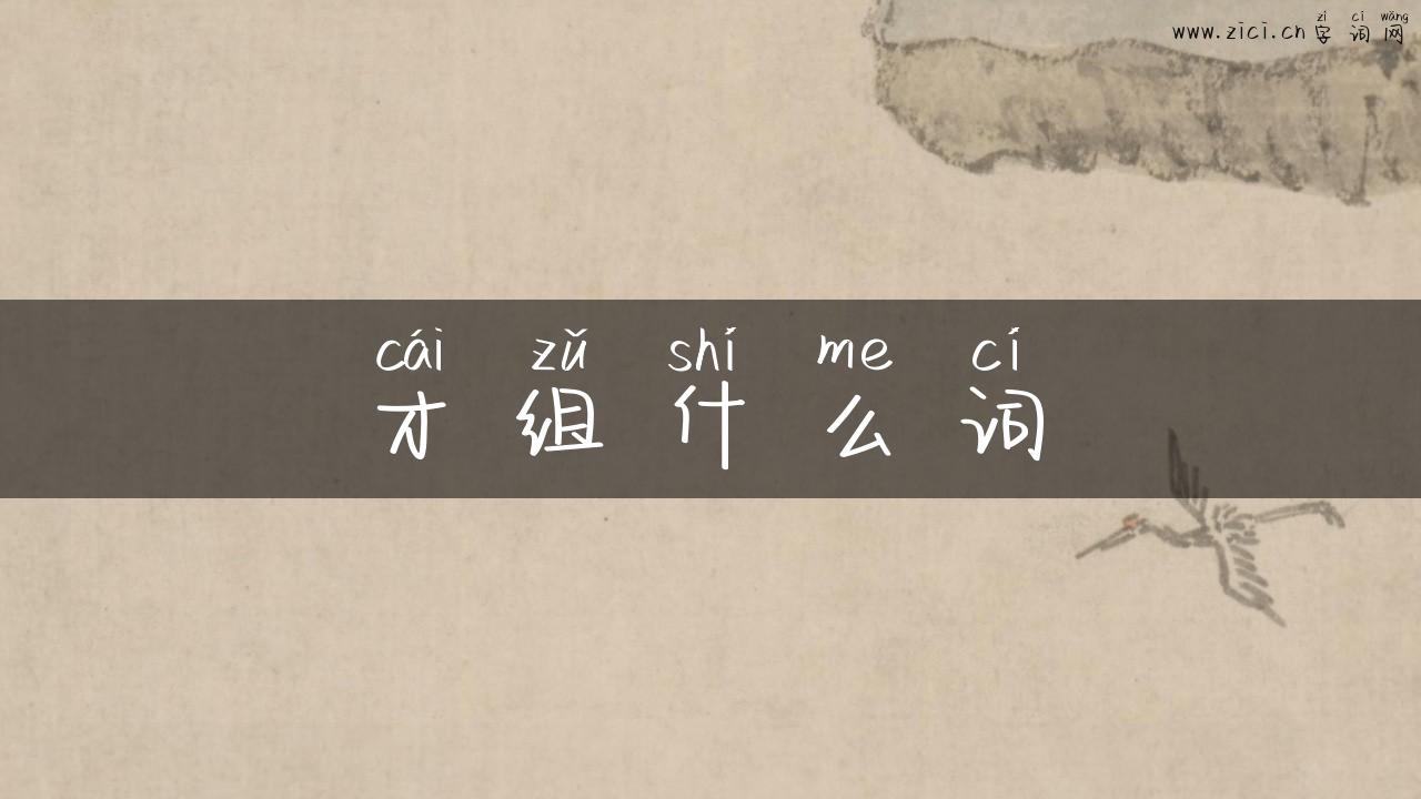 才组什么词