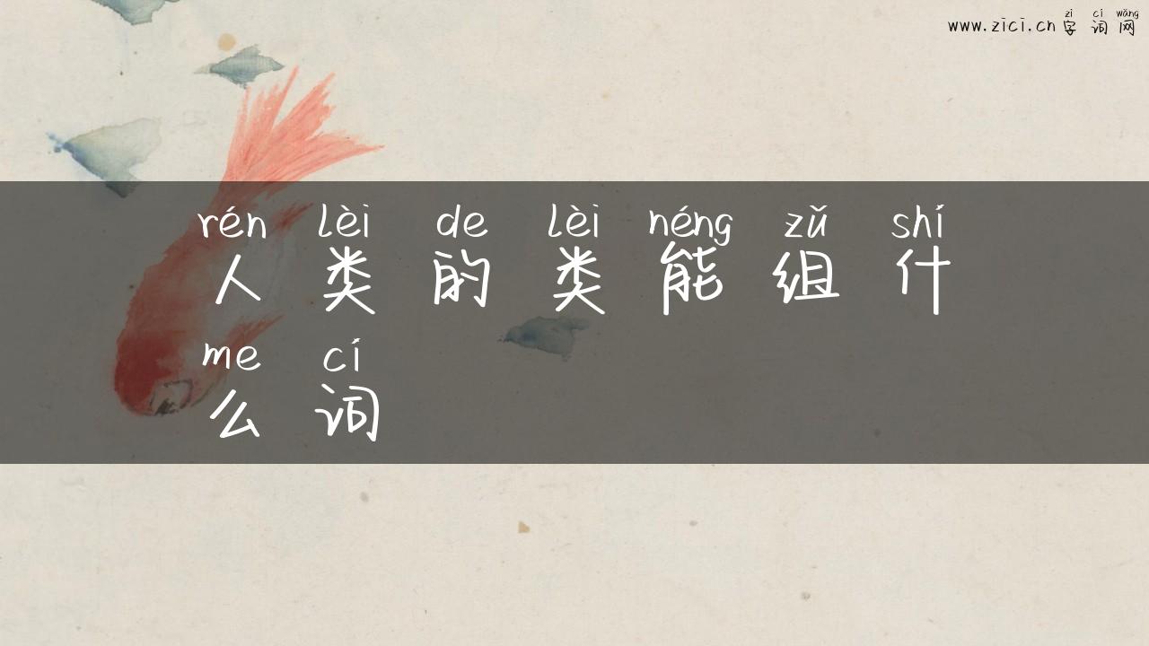 人类的类能组什么词