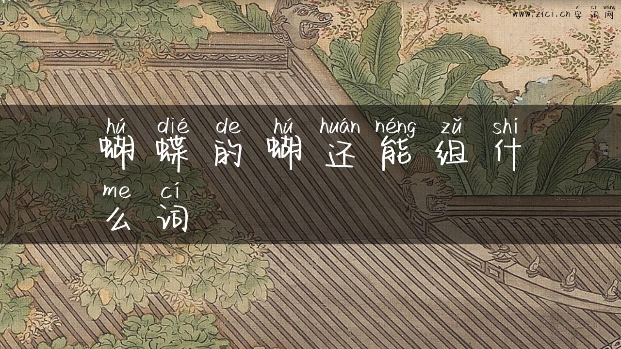 蝴蝶的蝴还能组什么词