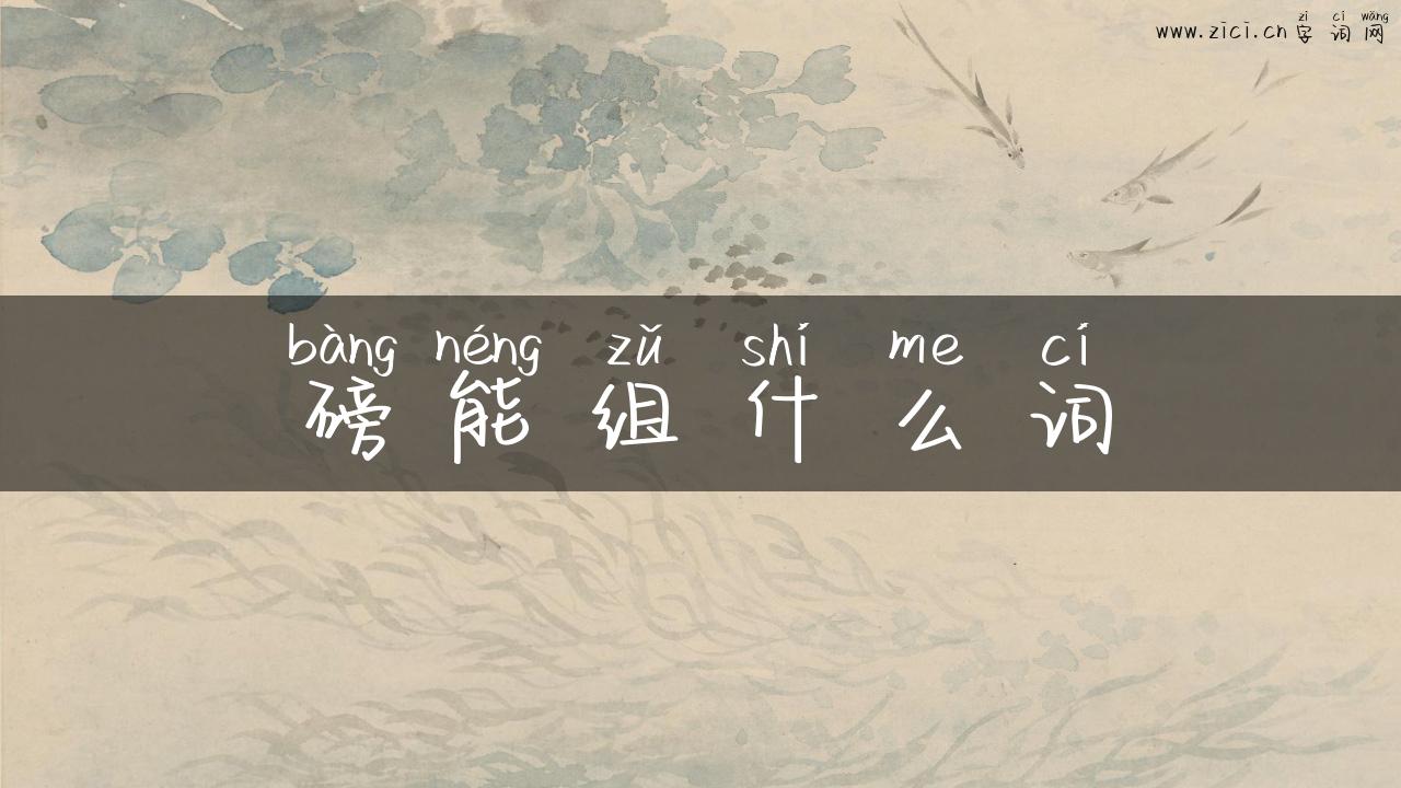 磅能组什么词