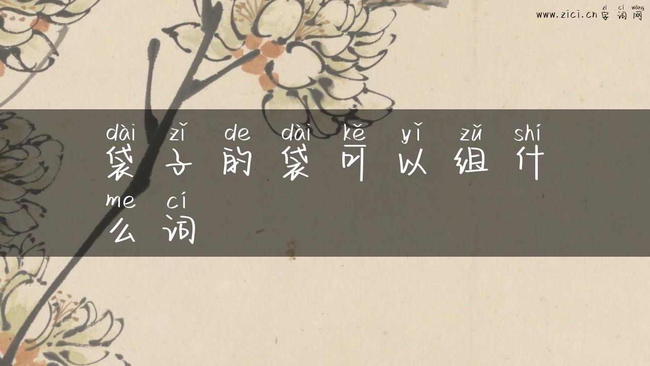 袋子的袋可以组什么词