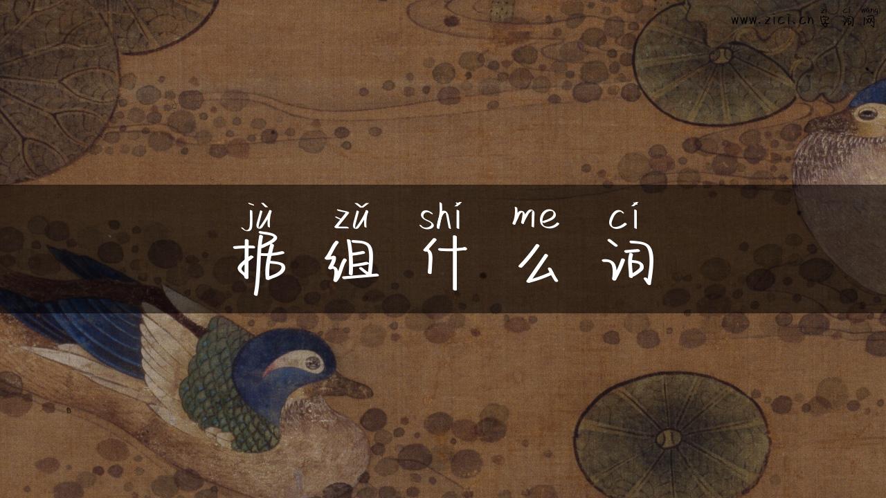 据组什么词