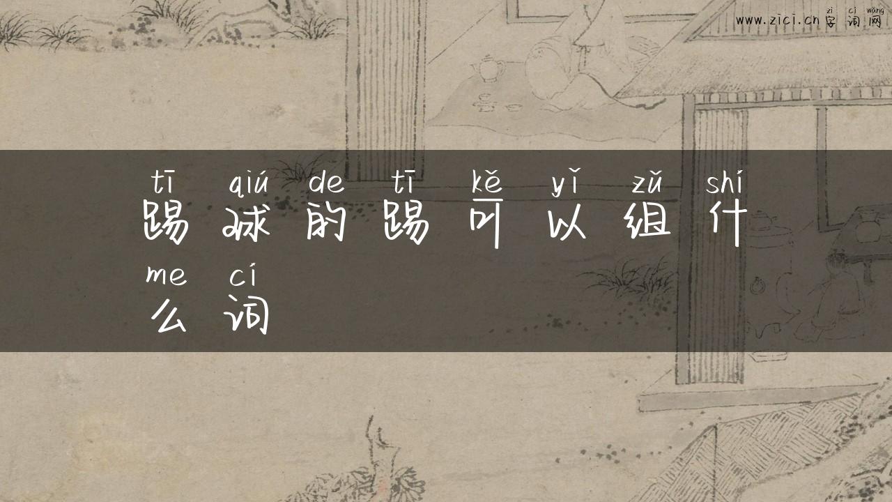 踢球的踢可以组什么词