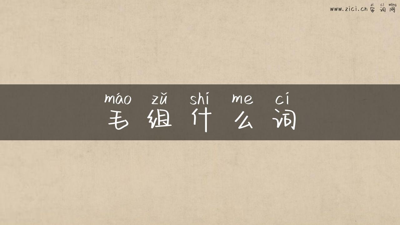 毛组什么词