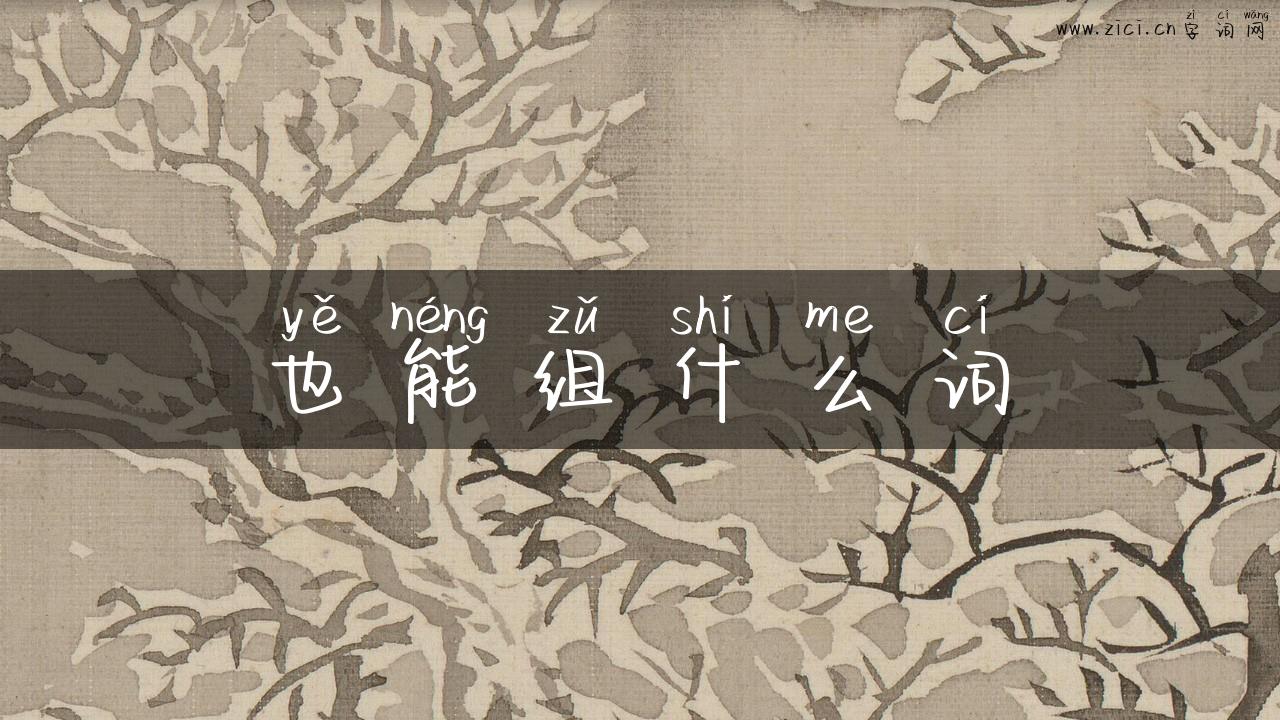 也能组什么词