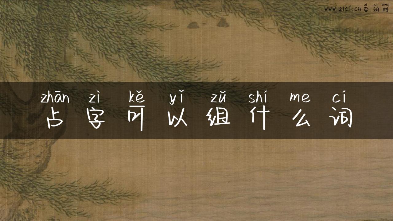 占字可以组什么词