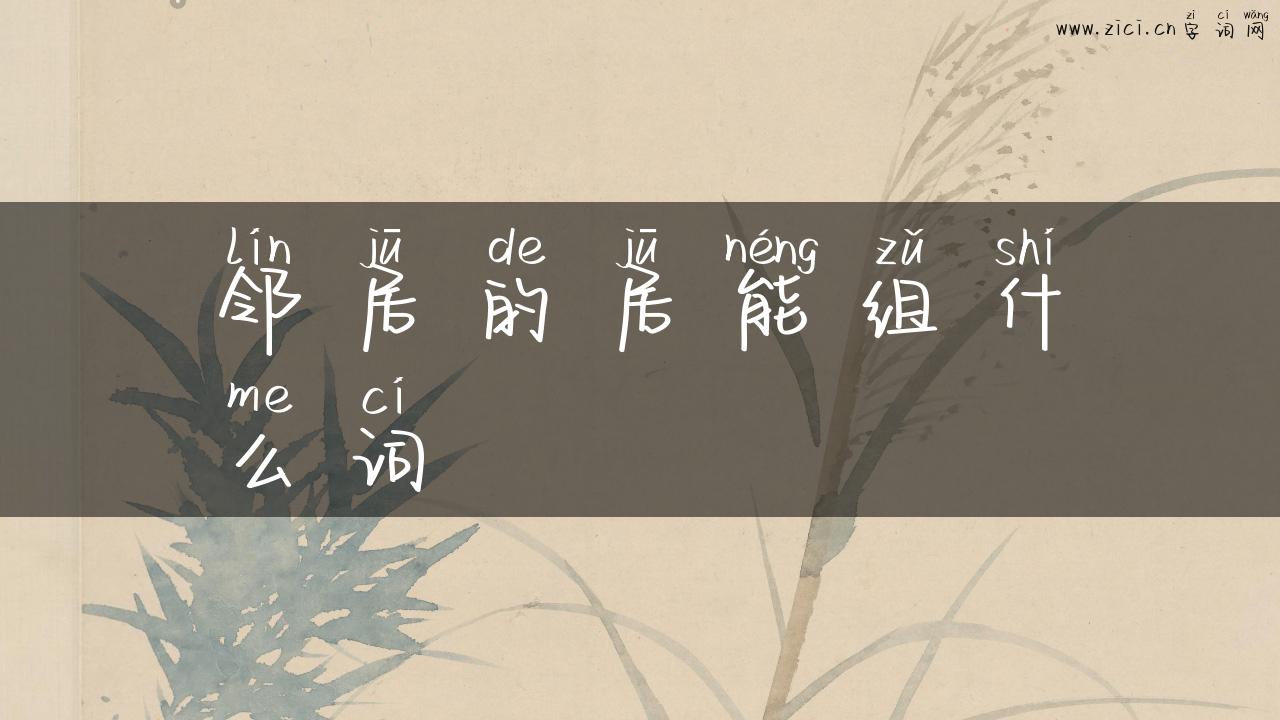 邻居的居能组什么词