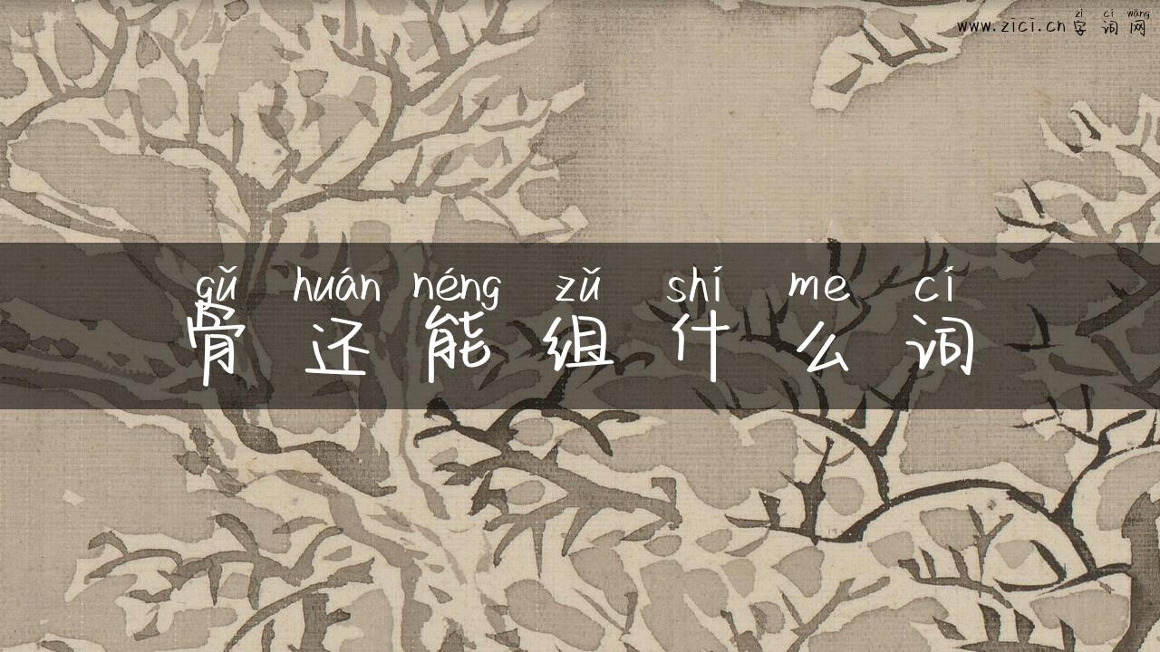 骨还能组什么词