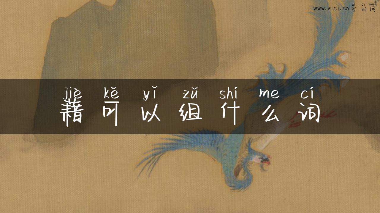 藉可以组什么词