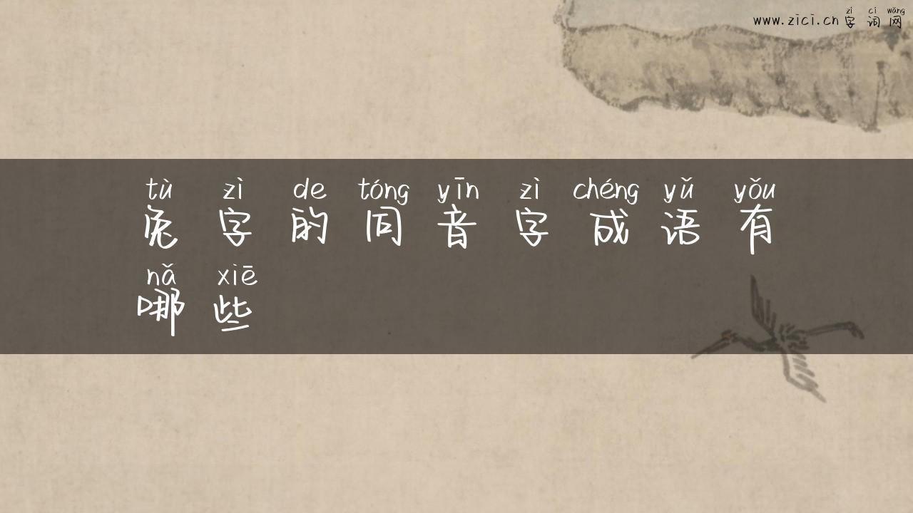 兔字的同音字成语有哪些