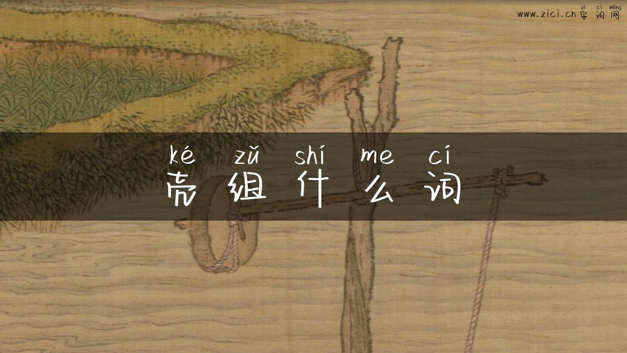 壳组什么词