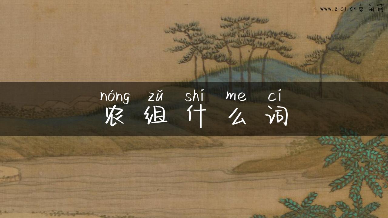 农组什么词