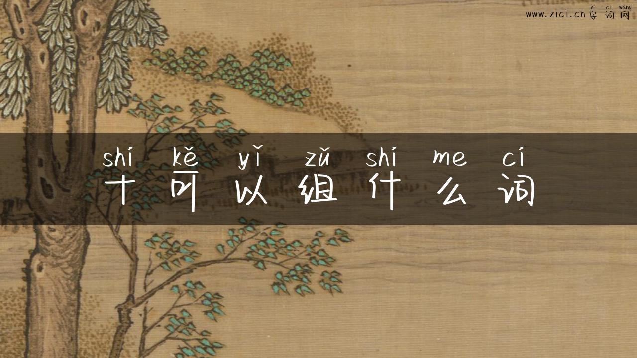 十可以组什么词