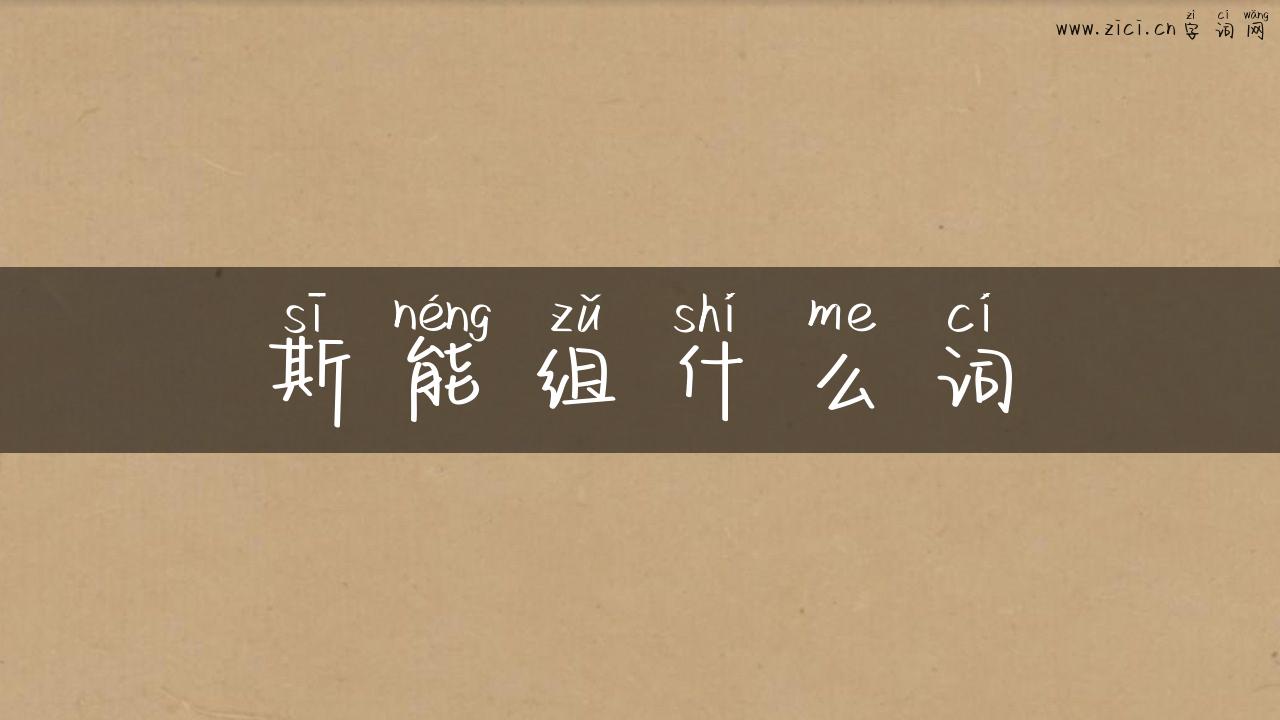 斯能组什么词