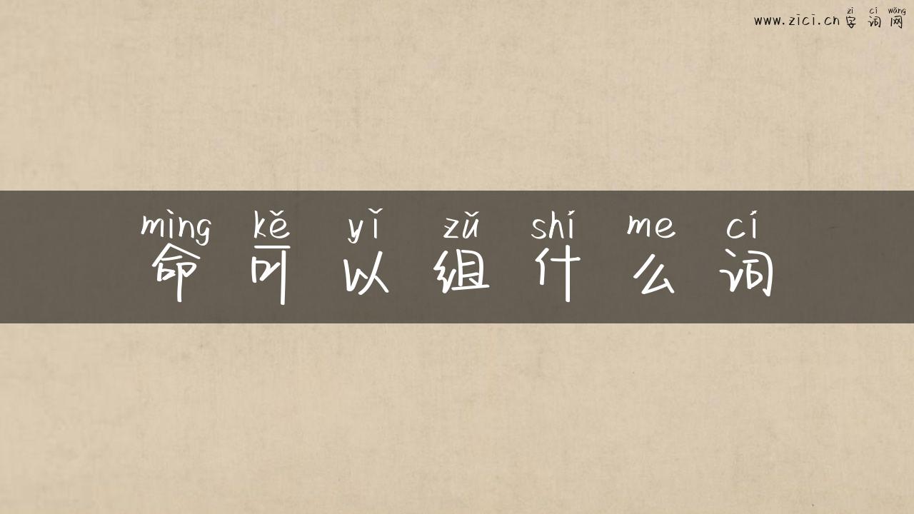 命可以组什么词