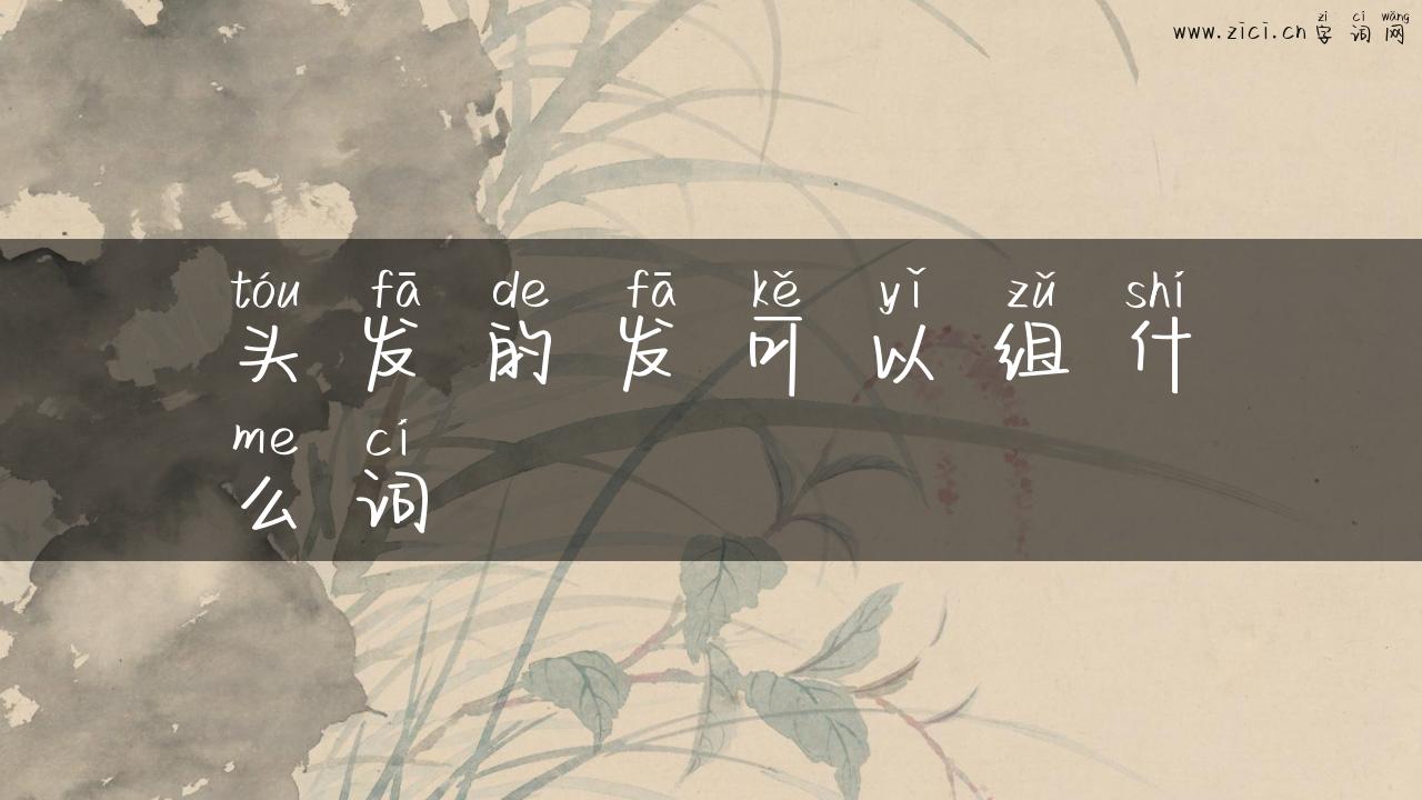 头发的发可以组什么词