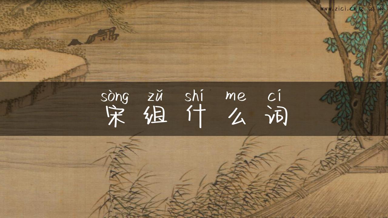 宋组什么词