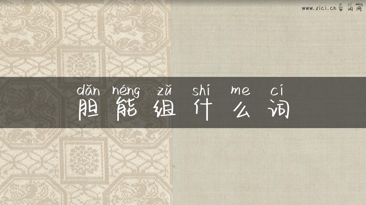 胆能组什么词