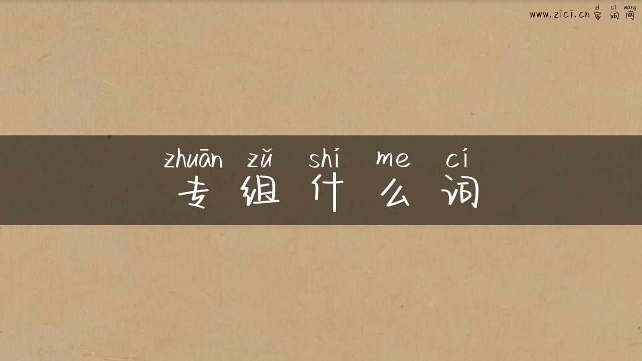 专组什么词