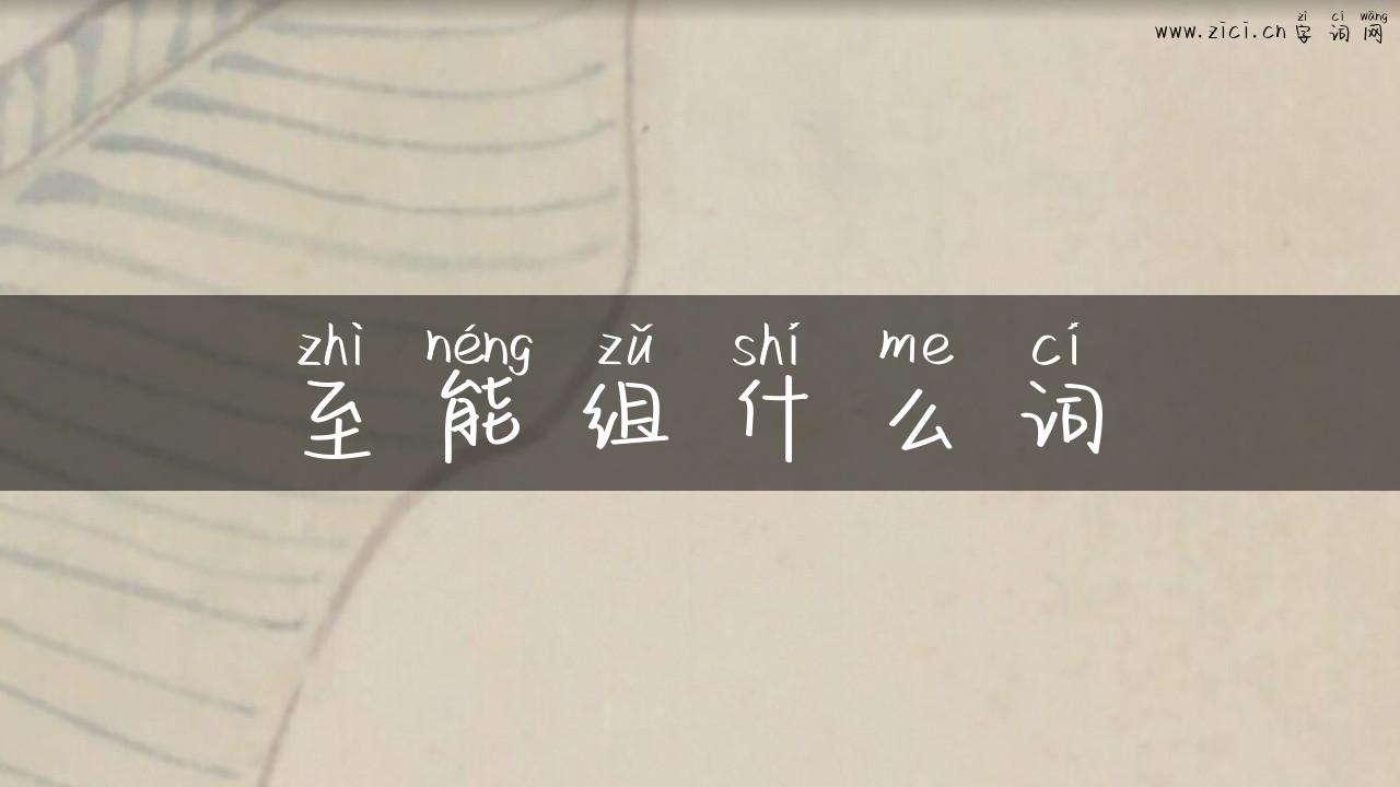 至能组什么词