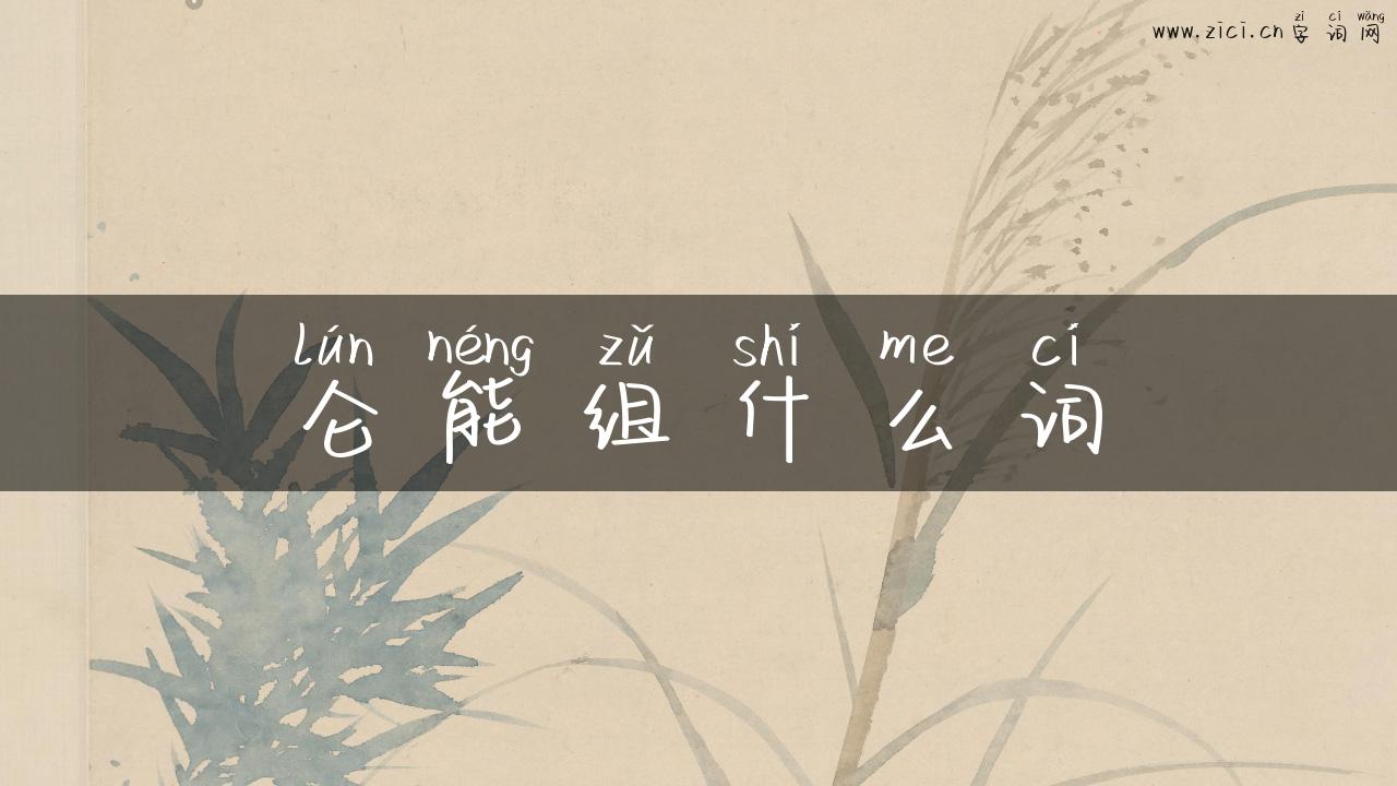 仑能组什么词