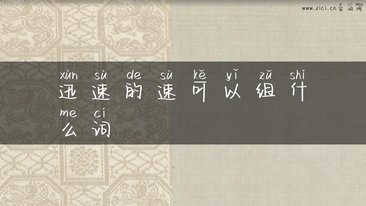 迅速的速可以组什么词