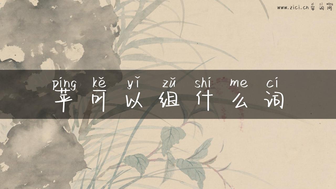 苹可以组什么词