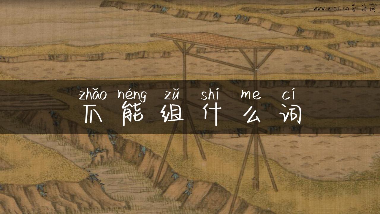爪能组什么词