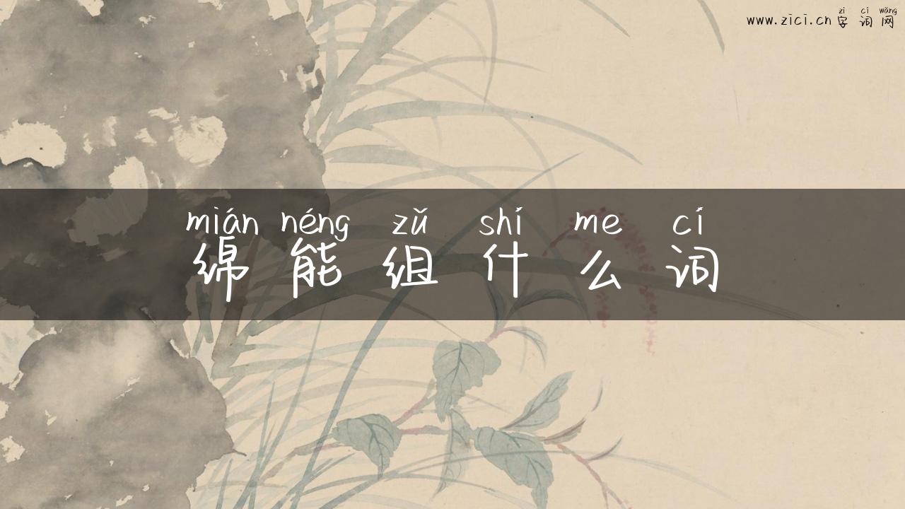 绵能组什么词