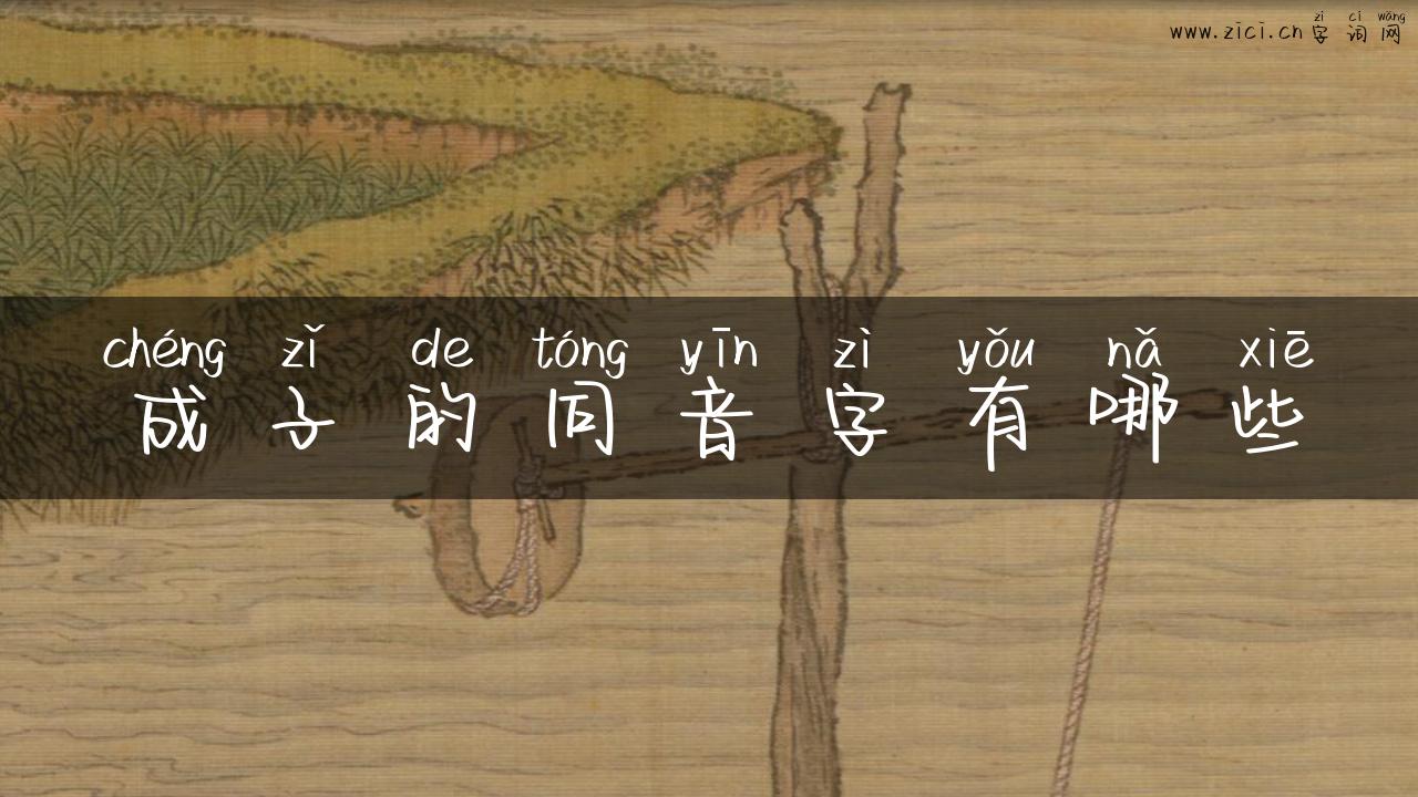 成子的同音字有哪些