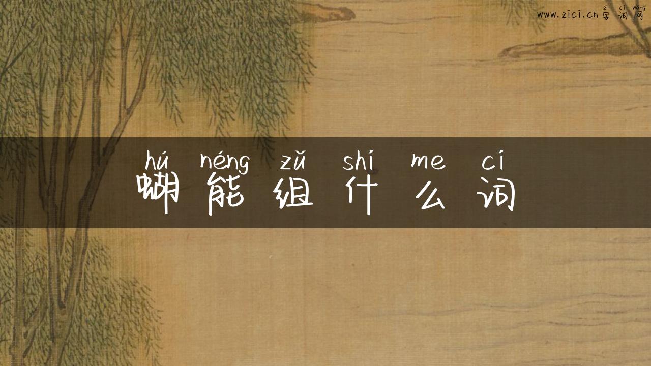 蝴能组什么词